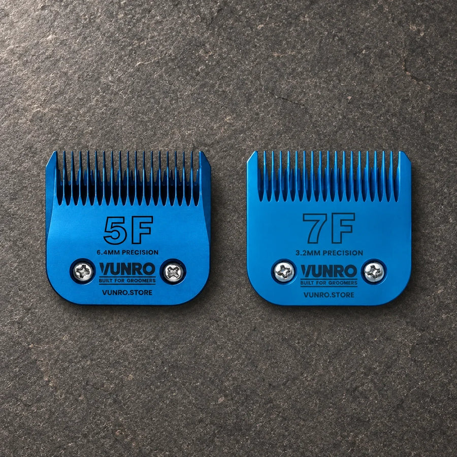 Blue Steel A5 Everyday Duo
